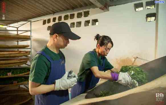 古法制茶图片及价格介绍大全视频