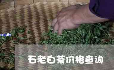 防城港白石牙茶价格-防城港白石牙茶价格查询