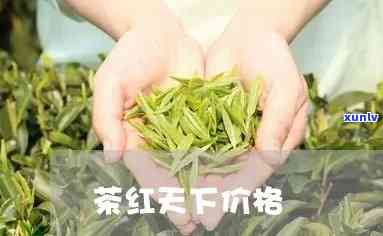 茶红天下国之红价格-茶红天下的知名度