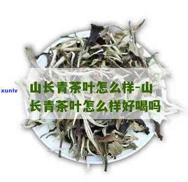 江山长青茶价格-江山长青茶价格是多少