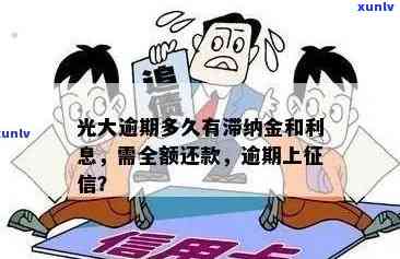 友信普光大逾期-友信普光大逾期了怎么办