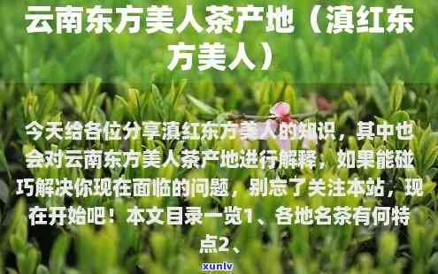 东方美人茶产区，探索东方美人的魅力：揭秘东方美人茶产区