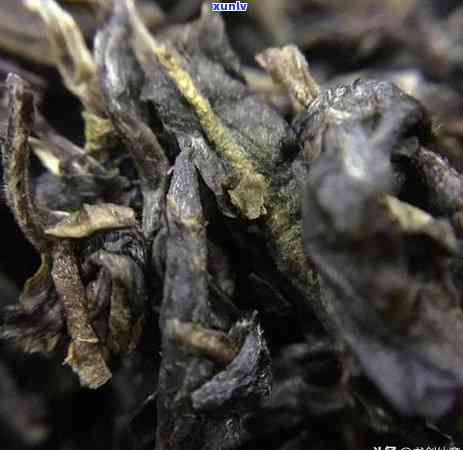 沱茶用蒸的 *** 弄开泡可以吗，探讨：沱茶是否可以用蒸的 *** 打开并泡？