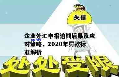 上海外汇申报逾期怎么办，解决上海外汇申报逾期问题的步骤和建议