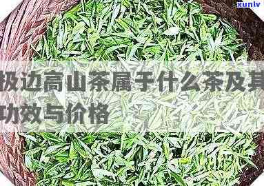 腾冲极边高山茶价格-云南腾冲极边高山茶