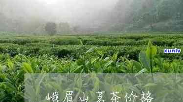 峨眉山茗茶木盒装价格一览：详细价格表与多少元查询