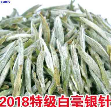 白毫银针茶批发价格-白毫银针茶批发价格多少