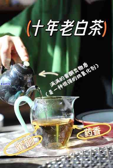 天茗茶31度老白的价格，探索31度老白的魅力：天茗茶的独特价格解析