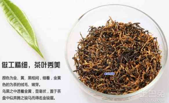 金露香萱红茶价格：全面解析