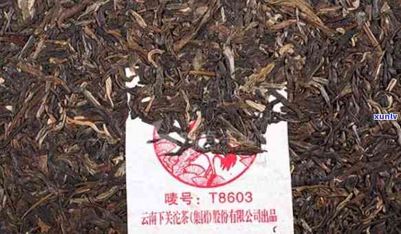 下关t8653茶怎么样？了解2005年及下关8603茶的特点