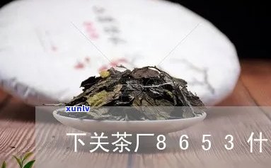 下关茶厂8853价格、8613与8653的价格比较