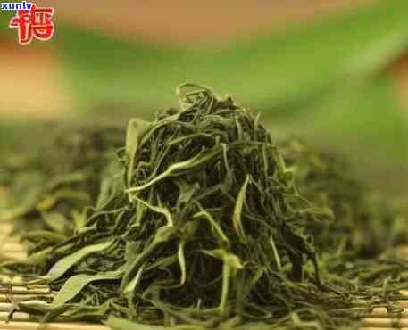 浙江安顶云雾茶：茶叶排名与州特产