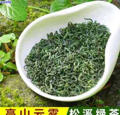 州安顶云雾茶价格-浙江安顶云雾茶