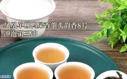 凤凰茗茶多少钱1斤，凤凰茗茶市场价格：每斤多少钱？