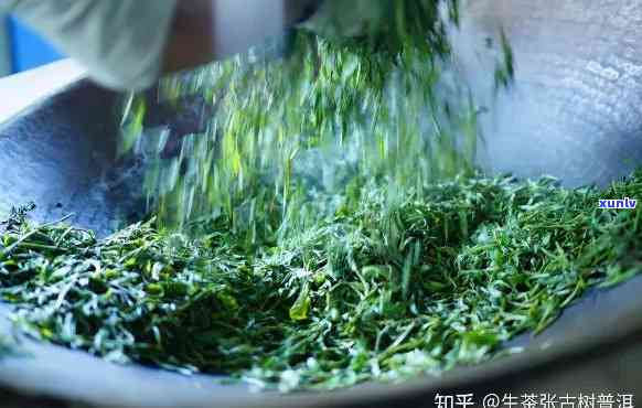 古法制茶价格是多少钱一克，传统工艺茶叶的价格：每克多少钱？