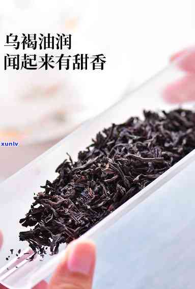 天福初心普洱茶：120克双份装，口感醇厚，值得品尝