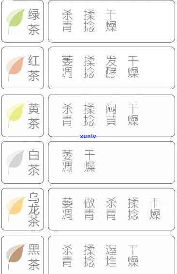 茶的名称大全：种类与英文翻译全览