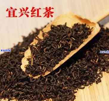 宜兴红茶介绍，探索中国传统名茶：宜兴红茶的详细介绍