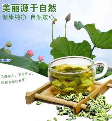 荷叶复合代用茶价格-荷叶复合代用茶的功效