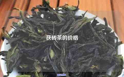 女生喝古树茶，品味优雅：揭秘女性喝古树茶的益处与魅力