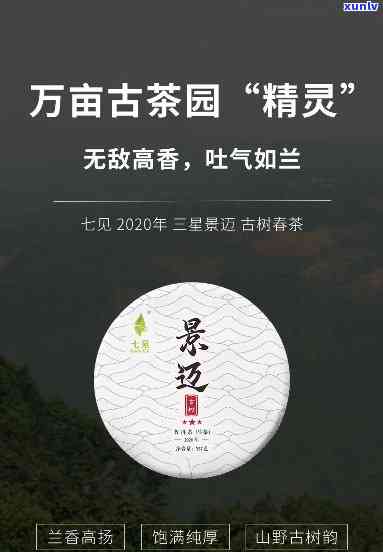 泰易武云雾圆茶，品味云南特色：泰易武云雾圆茶，带你领略纯正的普洱魅力