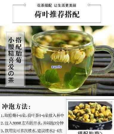 淮阳荷花茶价格全揭秘：详细价格表及多少钱一斤