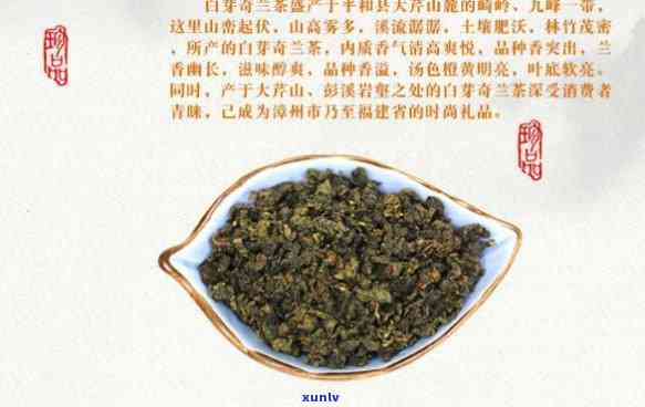 和平白芽奇兰茶多少钱一盒，和平白芽奇兰茶价格详解：一盒要多少钱？