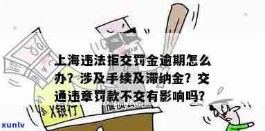 上海逾期未交罚款会怎么样，逾期未交罚款？上海的处罚措你一定要知道！