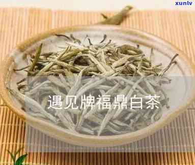 遇见白砖茶多少价格-遇见白茶简介