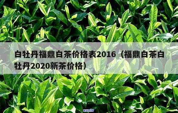 哈尼族阿卡公主与普洱茶：一传统故事与茶叶文化的完美融合