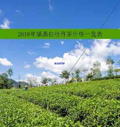 福茶业白牡丹价格多少？一斤多少钱？查询最新报价