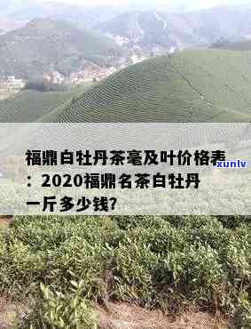 福茶业白牡丹价格多少？一斤多少钱？查询最新报价