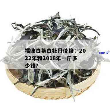 福茶业白牡丹价格多少？一斤多少钱？查询最新报价