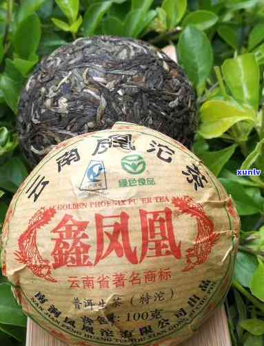 特制凤凰沱茶2002，品味历与文化：特制凤凰沱茶2002的探索之旅