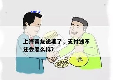 上海富友理财逾期-上海富友金融怎么样