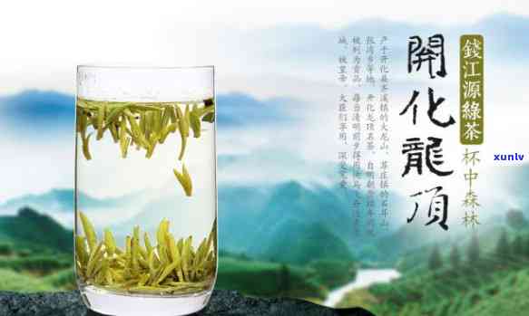 开化龙顶明前茶价格-开化龙顶茶的历