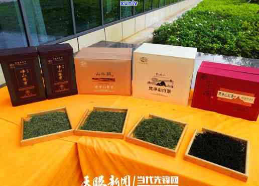 贵州梵净山茶叶简介，探索梵净山：揭秘贵州的茶叶世界