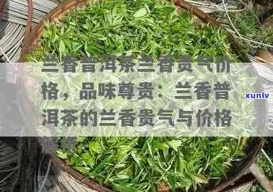 贵州梵净兰香茶价格-贵州梵净兰香茶价格表