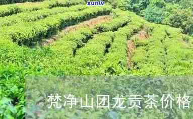 梵净山团龙贡茶价格-梵净山团龙贡茶价格多少