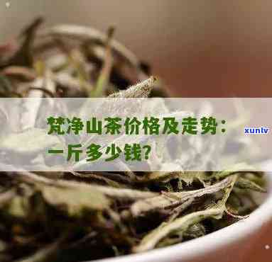 梵净山团龙贡茶价格-梵净山团龙贡茶价格多少