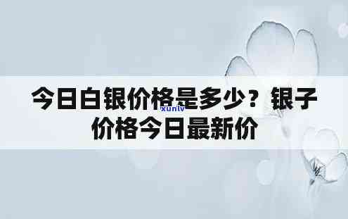 最新银子价格走势图表：实时行情与价格变动分析