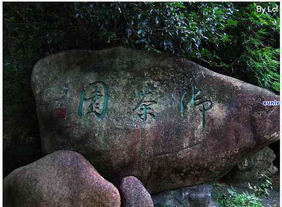 武夷山林家小院：预订 *** 、餐厅信息全掌握！