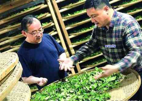 武夷山林家小院：预订 *** 、餐厅信息全掌握！