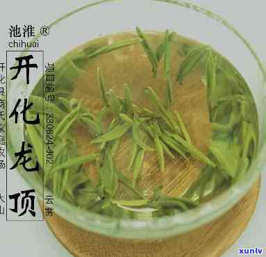 玉玺开化龙顶茶价格-玉玺牌开化龙顶价格