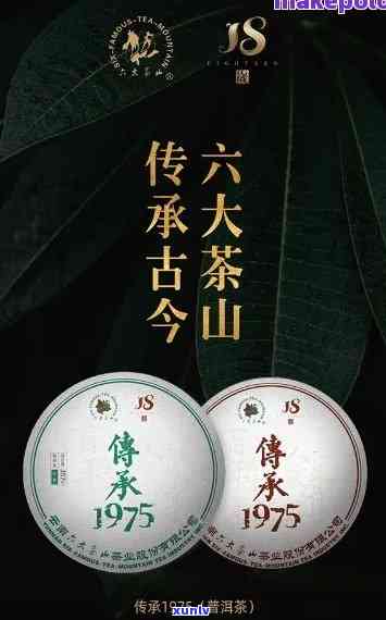 2004年六六念饼饼茶价格，探究2004年六六念饼饼茶的价格及其历背景