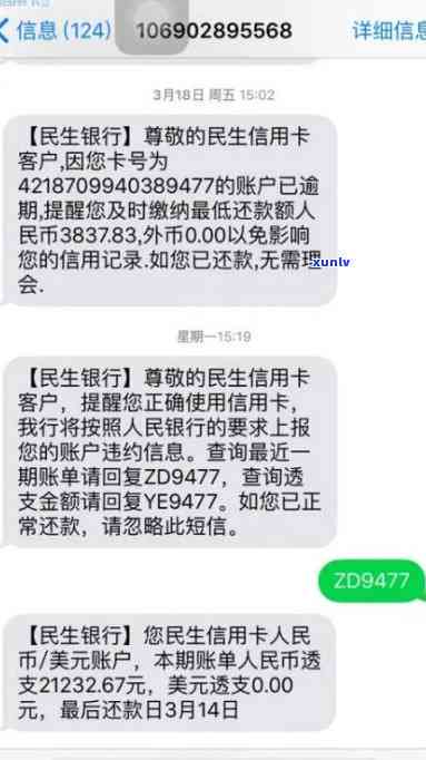 翡翠黑冰是什么意思？探究神秘黑色翡翠的魅力与价值