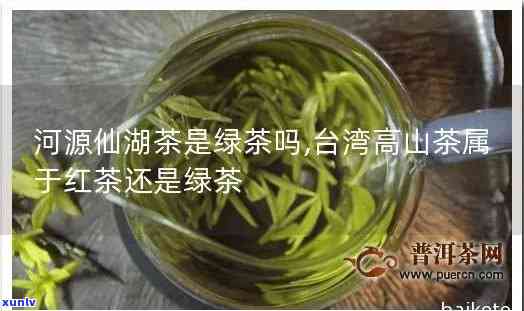 河源仙湖茶：绿茶、红茶还是黄茶？请指教