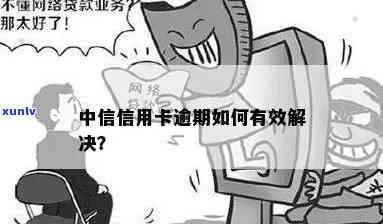 中信逾期收到邮件怎样解决？详细步骤在此