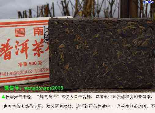 1999年普洱茶砖价格，回顾历：1999年普洱茶砖价格解析