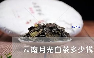 月光白珍藏版茶价格-月光白茶叶价格